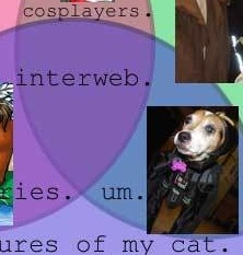 The Interweb
