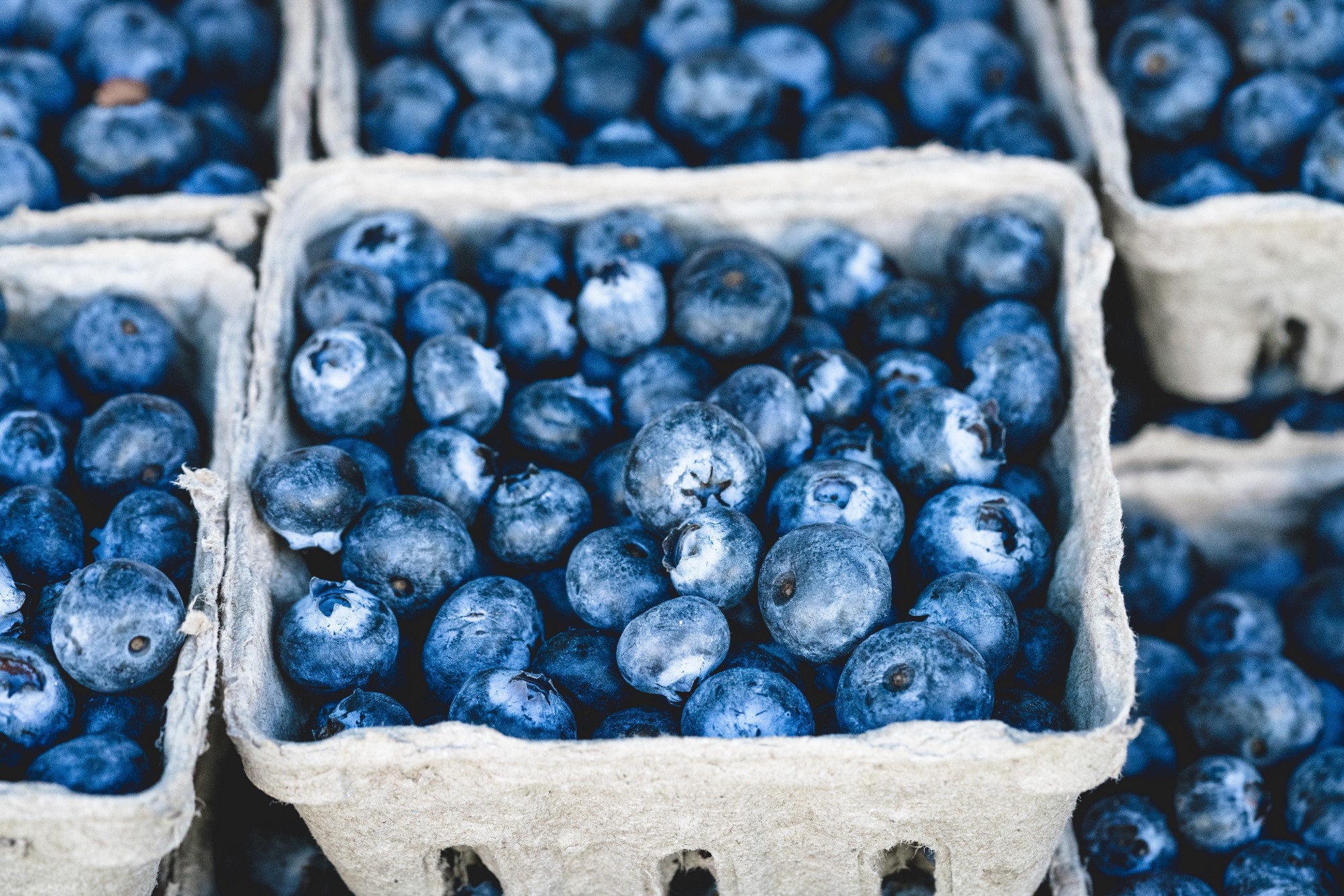 Building Blocks berries
