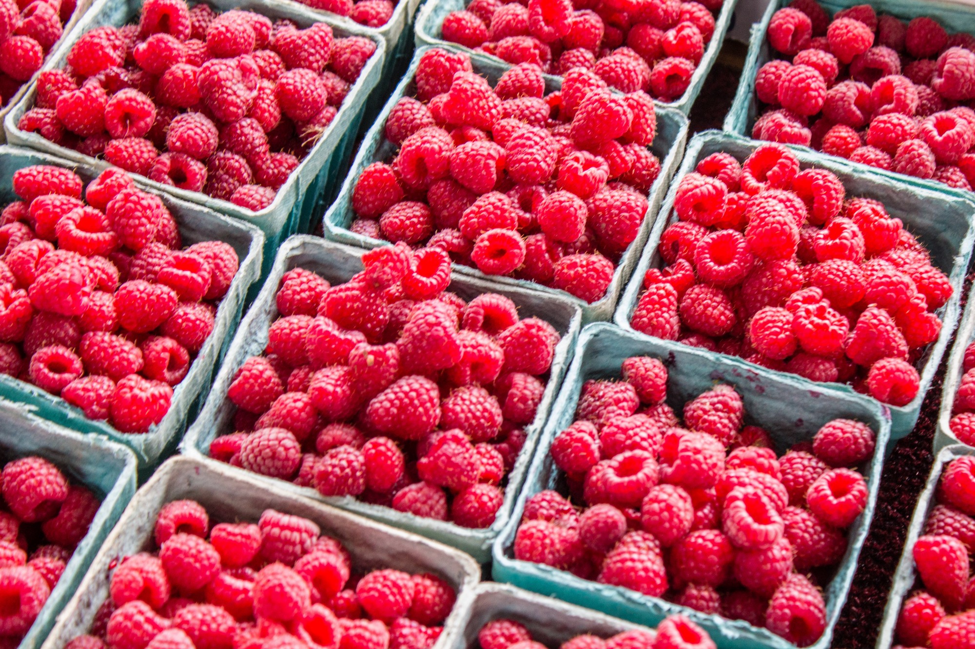 Building Blocks berries