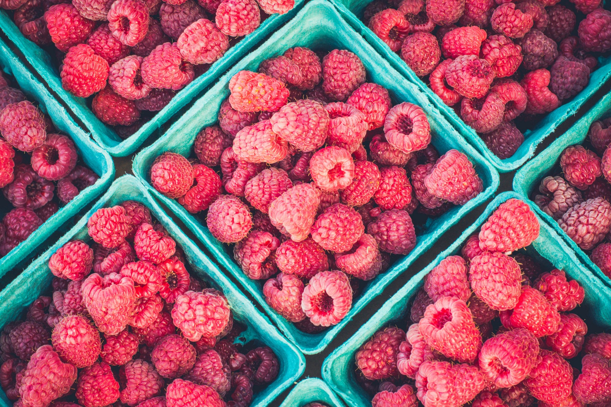 Building Blocks berries