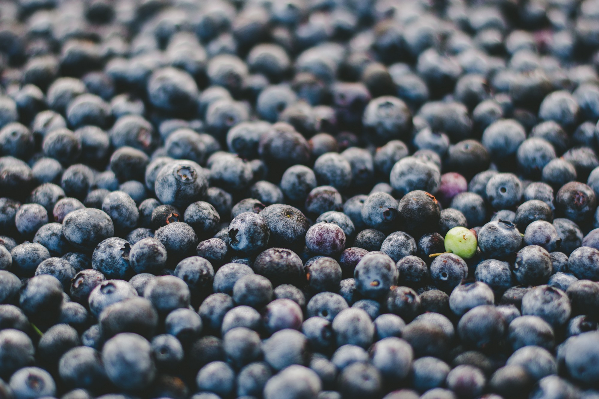 Building Blocks berries