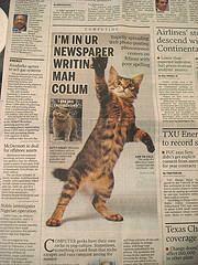Houston Chronicle story on lolcats