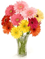 flowers so you can't hate me
