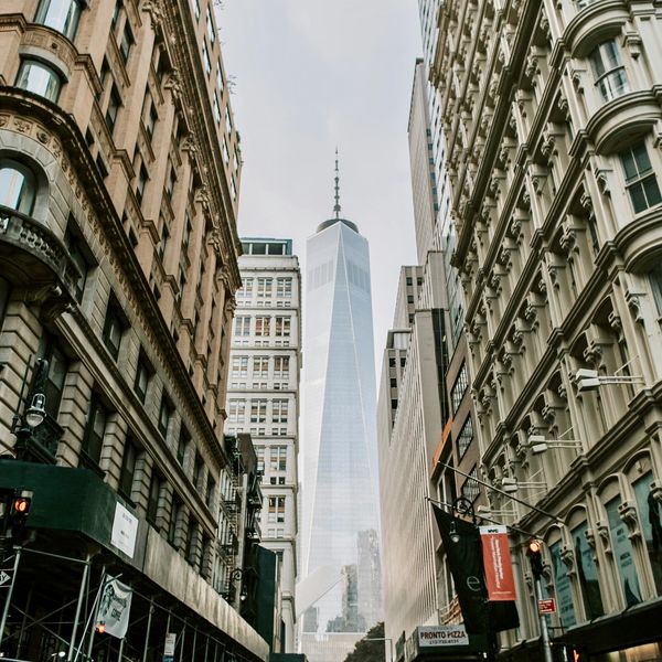 24 is After the Fall