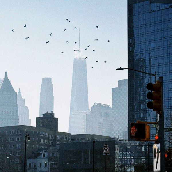 At 25, we are all New Yorkers, again