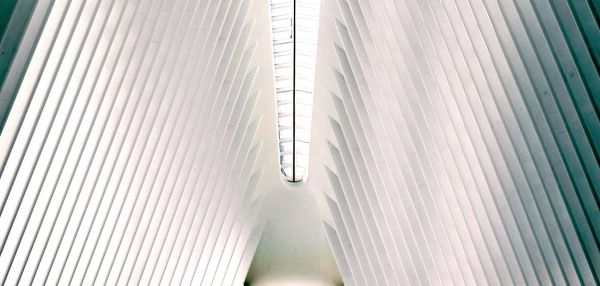 Seventeen is (Almost) Just Another Day