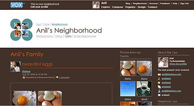 100 Perfect Pixels: Vox Neighborhood